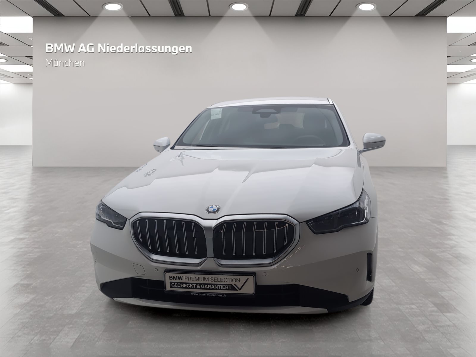 WBA21GW090CV01390_5